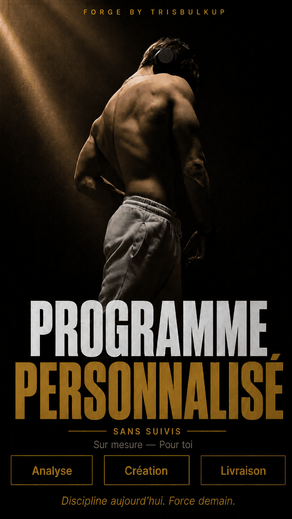 Affiche Forge Origo